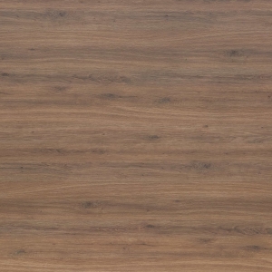 MS 467 SC04